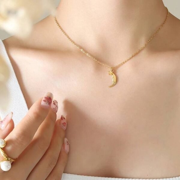 سلسله ستانلس بدلايتين هلال ونجمه تحفه - Image 3